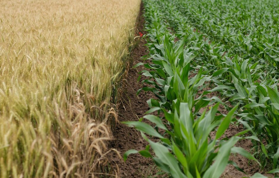 Onafhankelijke begeleiding bij kavelruil | Agriteam makelaars