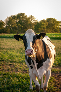 Agriteam is op zoek naar nieuwe collega's!